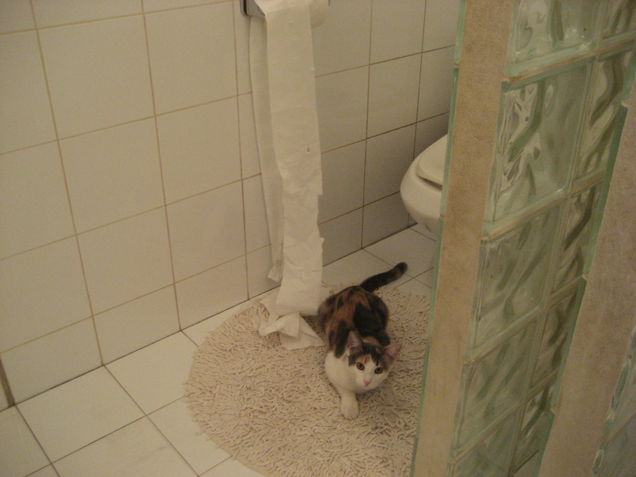 乐鱼体育APP官方下载-中国三人篮球男队提升阵地防守韧性，中国队三人篮球队员