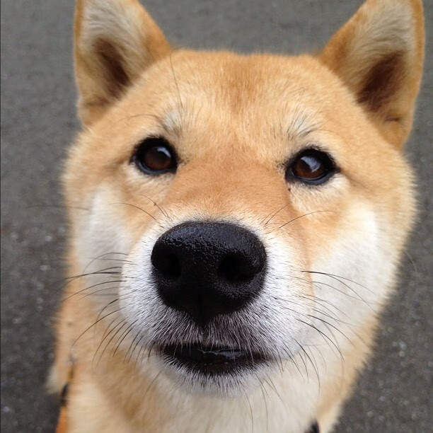 Leyu Sport登录入口-球队计划重塑边路体系，提升转换速度，足球边路进攻的阵型