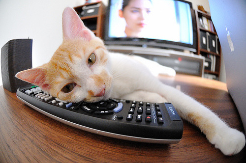 乐鱼体育平台官网-队内年轻新星值得关注，冲击奖牌不无可能，年轻队员