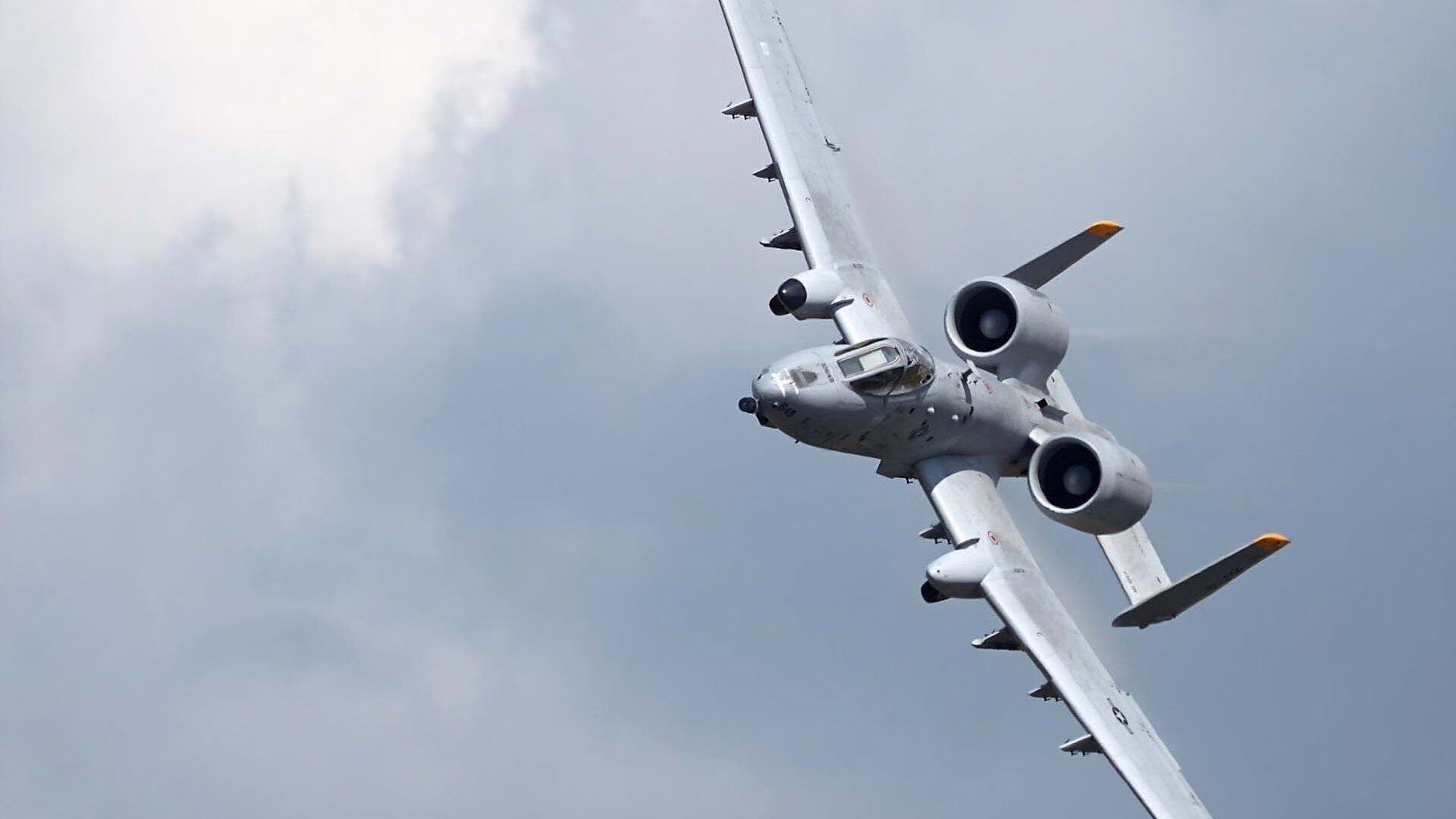 乐鱼vip-仰泳技术扎实比利时持续领先，仰泳在比赛中的技术规定