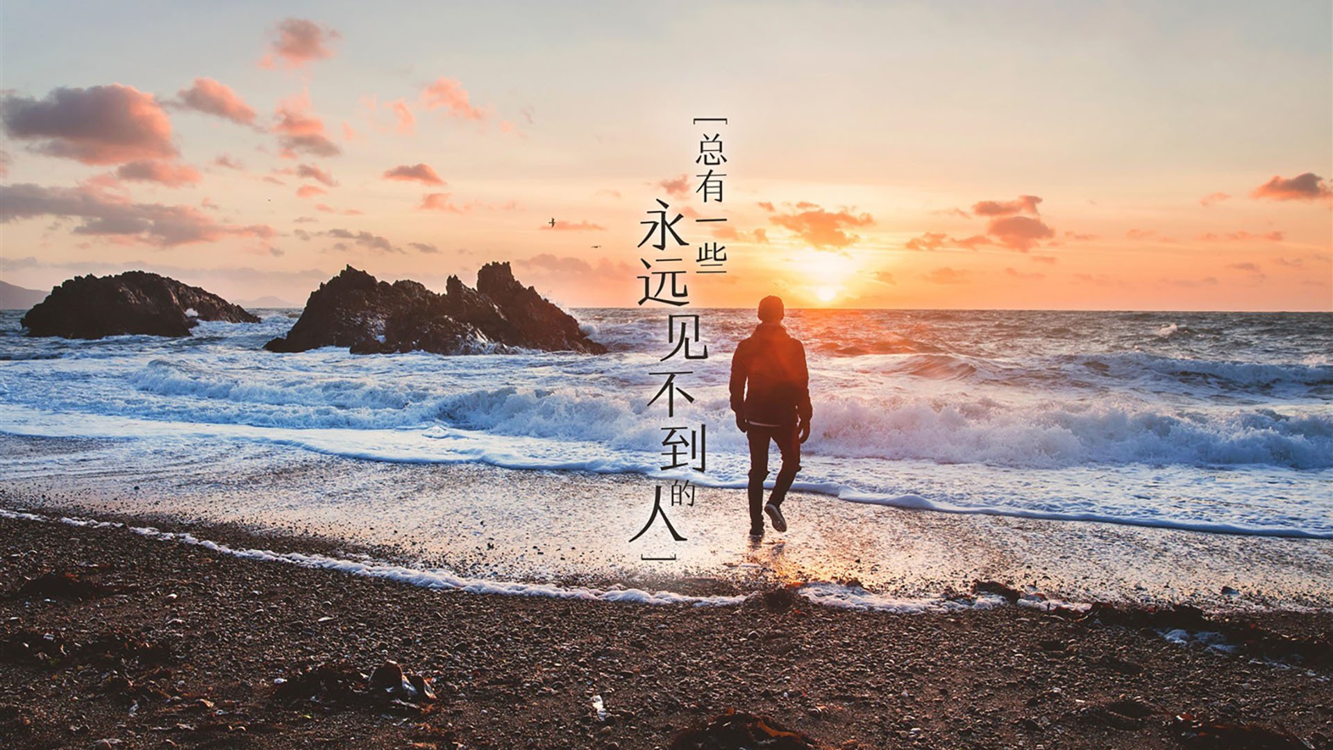 张伟丽接受康复训练备战新一轮挑战,张伟丽训练照片