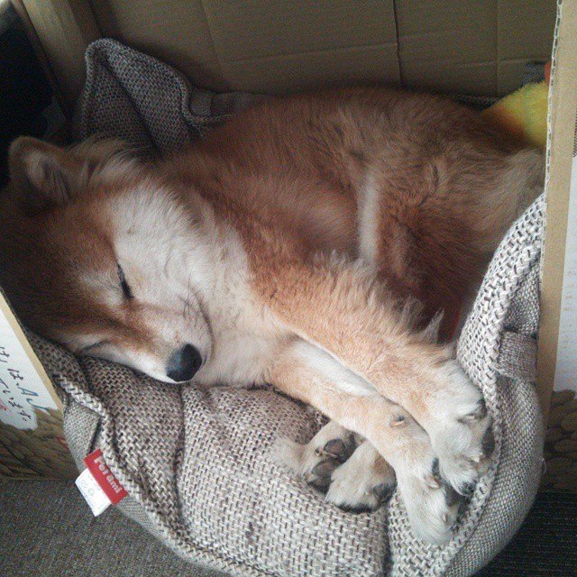 法甲未来之星：崭露头角，未来无限光明！，足坛十大未来之星