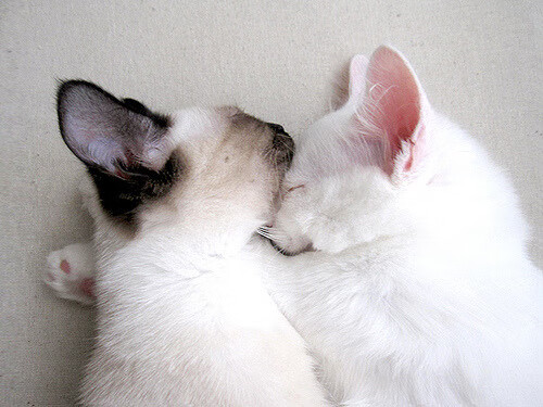 覃海洋冲线瞬间引爆现场气氛,覃海洋 哪里人